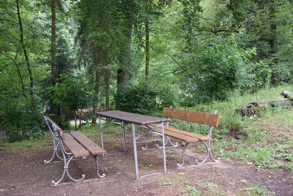 Zimmerfrei Wuppertal Kronenberg Kültér fotó
